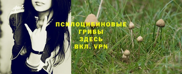 твердый Елабуга
