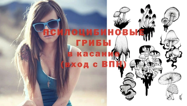 спиды Заволжск