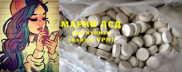 ПСИЛОЦИБИНОВЫЕ ГРИБЫ Заволжье